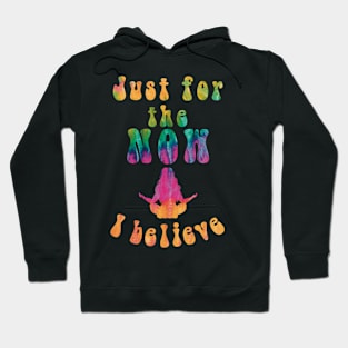 Just for the Now, I Believe Hoodie